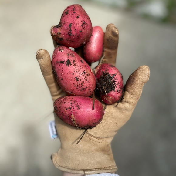 Meet your Posher - Picture 2 of 2